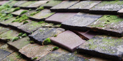 Raby roof repair costs